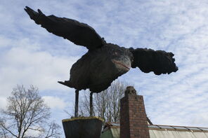 Rabauke 170302,oak, h=237cm_20