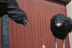 Drei Rabauken 2016_07