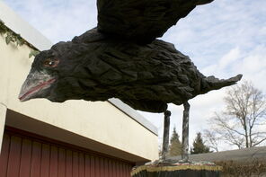 Rabauke 170302,oak, h=237cm_24